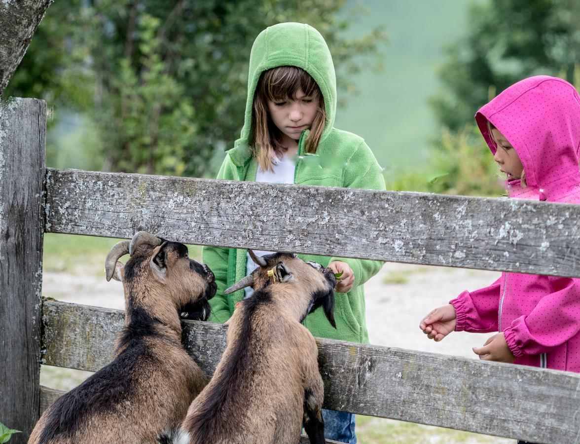 Christernhof Villa Maria Alm am Steinernen Meer Exteriör bild