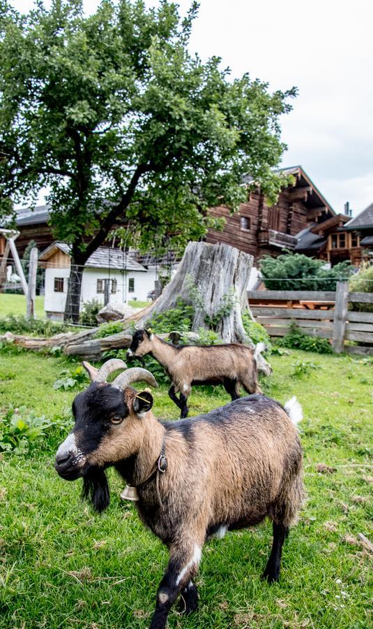 Christernhof Villa Maria Alm am Steinernen Meer Exteriör bild