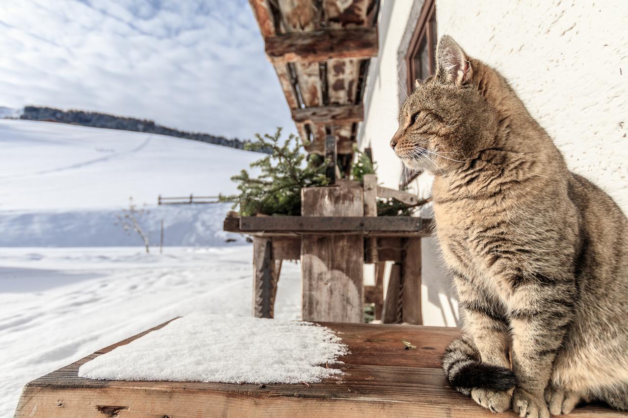 Christernhof Villa Maria Alm am Steinernen Meer Exteriör bild