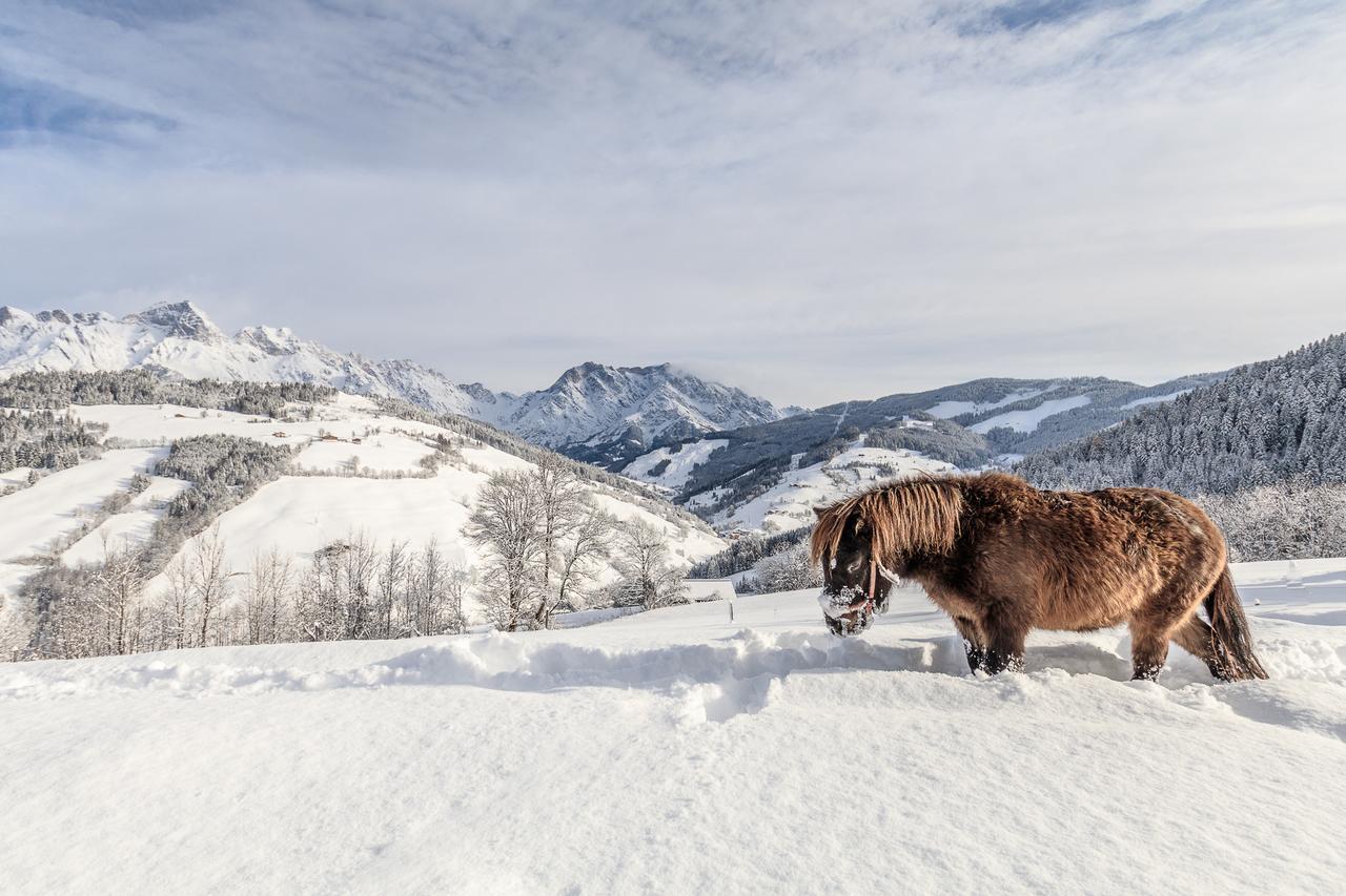 Christernhof Villa Maria Alm am Steinernen Meer Exteriör bild